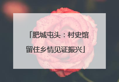 肥城屯头：村史馆留住乡情见证振兴