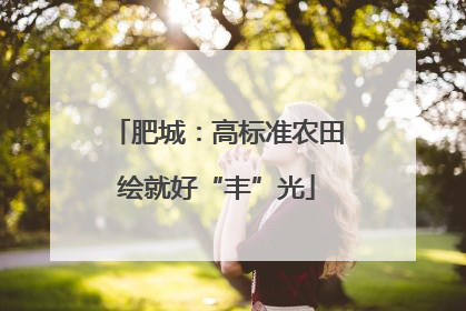 肥城：高标准农田绘就好“丰”光