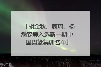 胡金秋、周琦、杨瀚森等入选新一期中国男篮集训名单