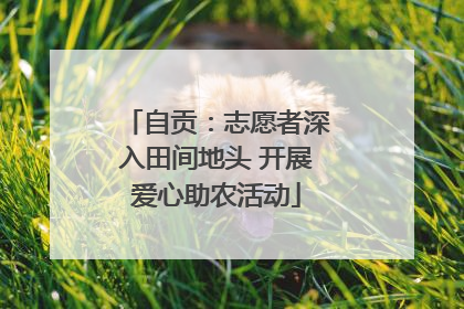 自贡：志愿者深入田间地头 开展爱心助农活动