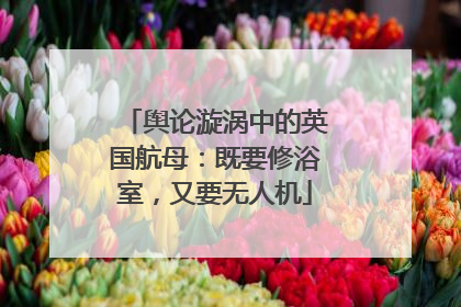 舆论漩涡中的英国航母：既要修浴室，又要无人机