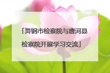 舞钢市检察院与唐河县检察院开展学习交流
