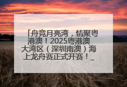 舟竞月亮湾，情聚粤港澳！2025粤港澳大湾区（深圳南澳）海上龙舟赛正式开赛！_深圳新闻网