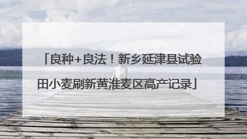 良种+良法！新乡延津县试验田小麦刷新黄淮麦区高产记录