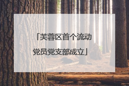 芙蓉区首个流动党员党支部成立