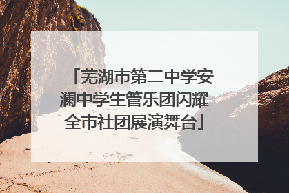 芜湖市第二中学安澜中学生管乐团闪耀全市社团展演舞台