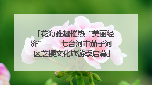 花海雅趣催热“美丽经济”——七台河市茄子河区芝樱文化旅游季启幕