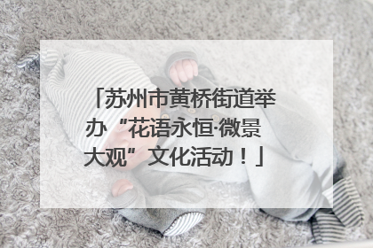 苏州市黄桥街道举办“花语永恒·微景大观”文化活动！