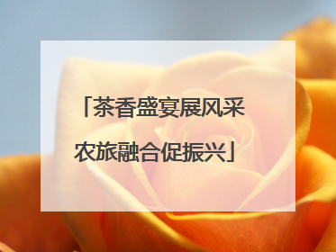 茶香盛宴展风采 农旅融合促振兴