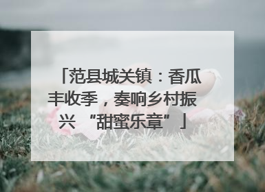范县城关镇：香瓜丰收季，奏响乡村振兴 “甜蜜乐章”
