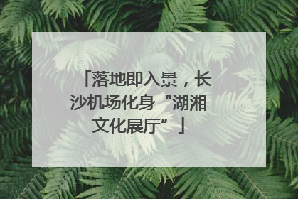 落地即入景，长沙机场化身“湖湘文化展厅”