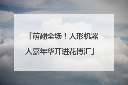 萌翻全场！人形机器人嘉年华开进花博汇