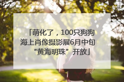 萌化了，100只狗狗海上肖像摄影展6月中旬“黄海明珠”开放