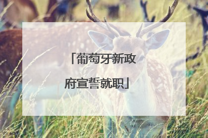 葡萄牙新政府宣誓就职