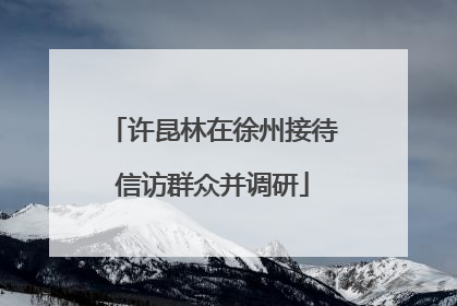 许昆林在徐州接待信访群众并调研