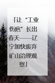 让“工业伤疤”长出春天——辽宁加快废弃矿山治理观察