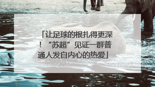 让足球的根扎得更深！“苏超”见证一群普通人发自内心的热爱