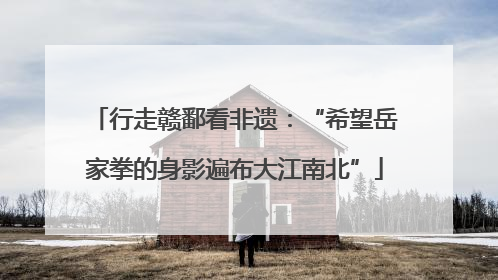 行走赣鄱看非遗：“希望岳家拳的身影遍布大江南北”