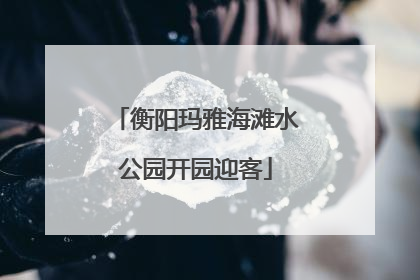 衡阳玛雅海滩水公园开园迎客