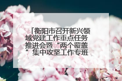 衡阳市召开新兴领域党建工作重点任务推进会暨“两个覆盖”集中攻坚工作专班 第一次会议