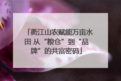 衢江山农赋能万亩水田 从“粮仓”到“品牌”的共富密码