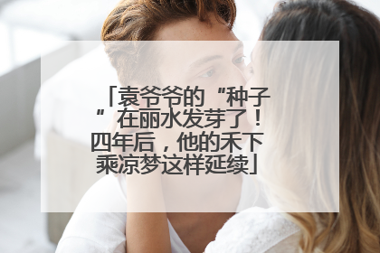 袁爷爷的“种子”在丽水发芽了！四年后，他的禾下乘凉梦这样延续
