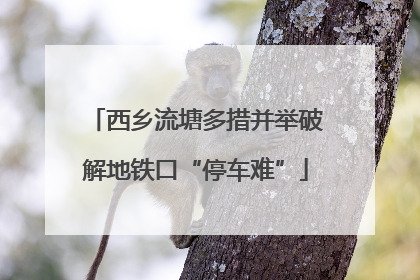 西乡流塘多措并举破解地铁口“停车难”