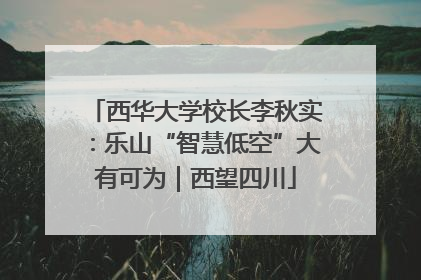 西华大学校长李秋实：乐山“智慧低空”大有可为｜西望四川