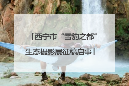 西宁市“雪豹之都”生态摄影展征稿启事