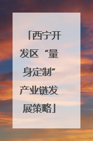 西宁开发区“量身定制”产业链发展策略