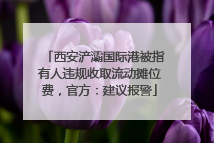 西安浐灞国际港被指有人违规收取流动摊位费，官方：建议报警