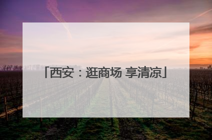 西安：逛商场 享清凉