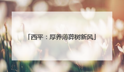 西平：厚养薄葬树新风