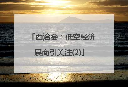 西洽会：低空经济展商引关注(2)