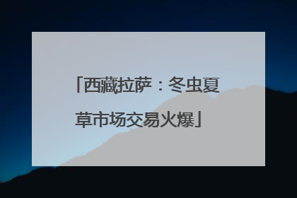 西藏拉萨：冬虫夏草市场交易火爆