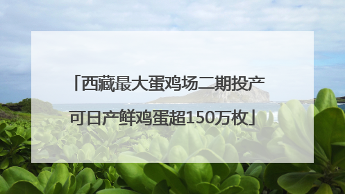 西藏最大蛋鸡场二期投产 可日产鲜鸡蛋超150万枚