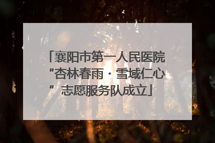 襄阳市第一人民医院“杏林春雨・雪域仁心”志愿服务队成立