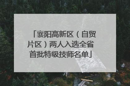 襄阳高新区（自贸片区）两人入选全省首批特级技师名单