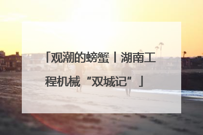 观潮的螃蟹丨湖南工程机械“双城记”