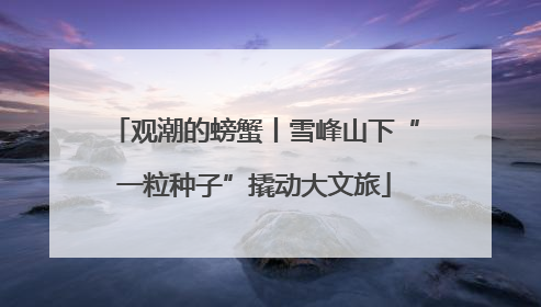 观潮的螃蟹丨雪峰山下“一粒种子”撬动大文旅