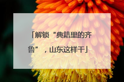 解锁“典籍里的齐鲁”，山东这样干
