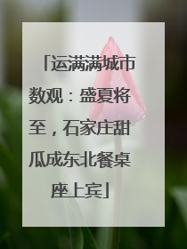 运满满城市数观：盛夏将至，石家庄甜瓜成东北餐桌座上宾