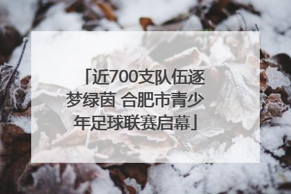 近700支队伍逐梦绿茵 合肥市青少年足球联赛启幕