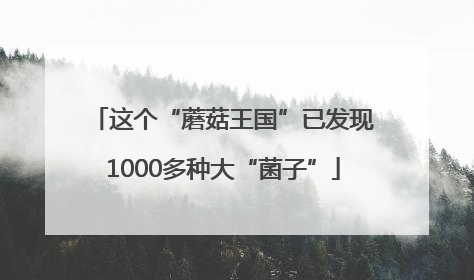 这个“蘑菇王国”已发现1000多种大“菌子”