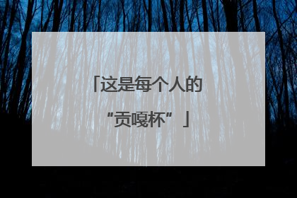 这是每个人的“贡嘎杯”