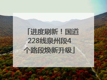 进度刷新！国道228线泉州段4个路段焕新升级