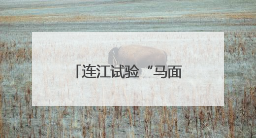 连江试验“马面鱼”夏季高温混养 为福建首次