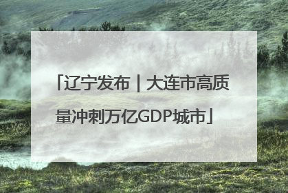 辽宁发布｜大连市高质量冲刺万亿GDP城市