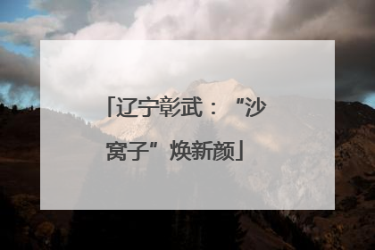 辽宁彰武：“沙窝子”焕新颜