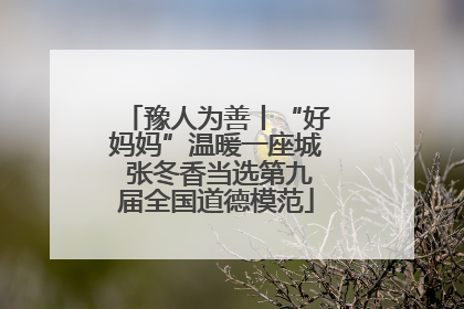 豫人为善丨“好妈妈”温暖一座城 张冬香当选第九届全国道德模范